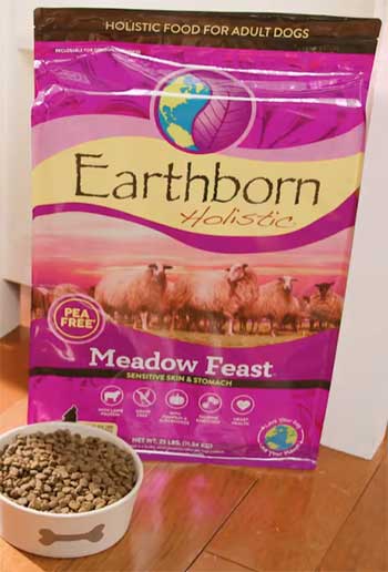 Earthborn Holistic Food