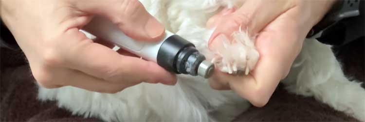 Heusom Silent Groom Pro