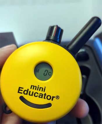 Mini Educator e-collar