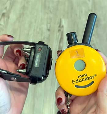 Mini Educator e-collar
