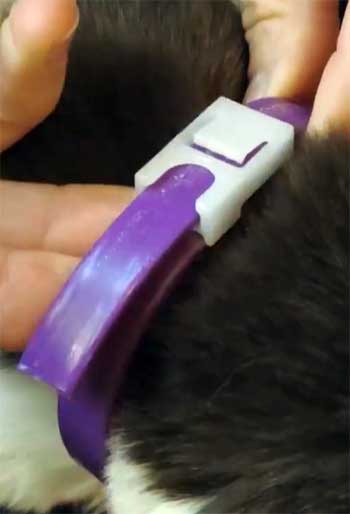 Sentry Calming Collar For Cats