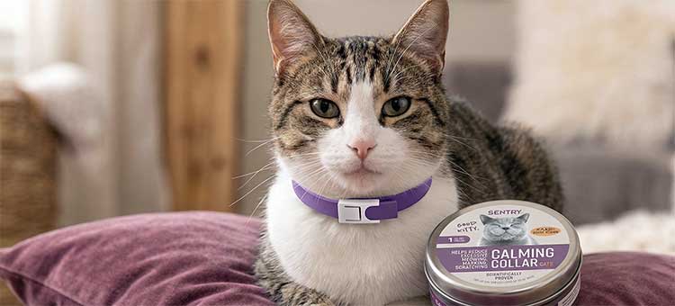 Sentry Calming Collar For Cats
