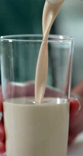 Shaklee Protein Powder