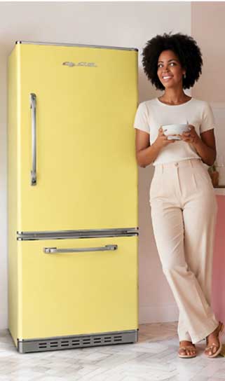 Big Chill  Refrigerator