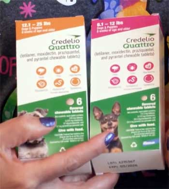 Credelio Quattro
