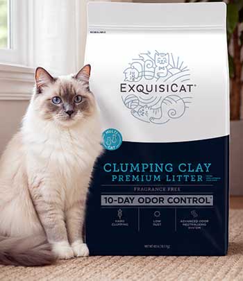 ExquisiCat Cat Litter