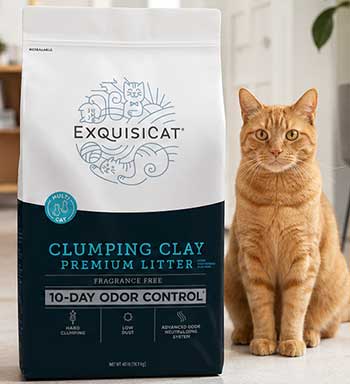 ExquisiCat Litter