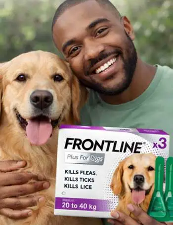Frontline Plus for dogs