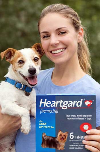 Heartgard