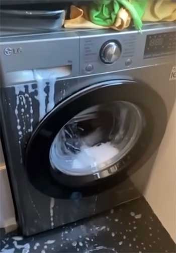 LG ThinQ Washer