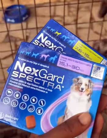 NexGard Spectra