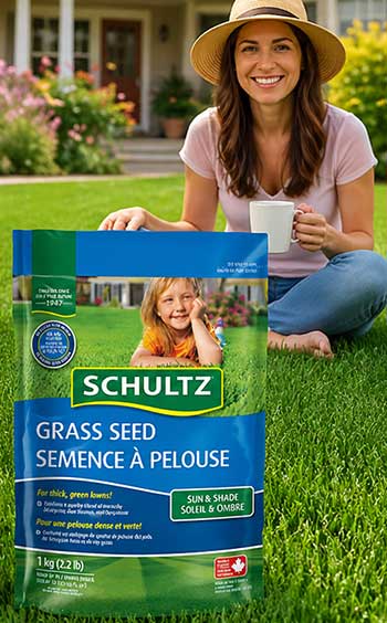 Schultz Grass Seed