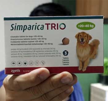 Simparica Trio