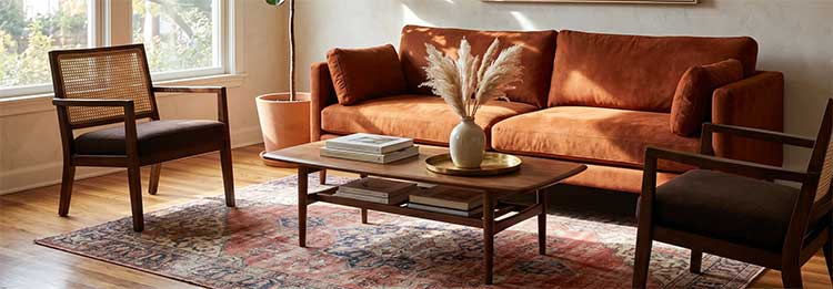 Suede Couch