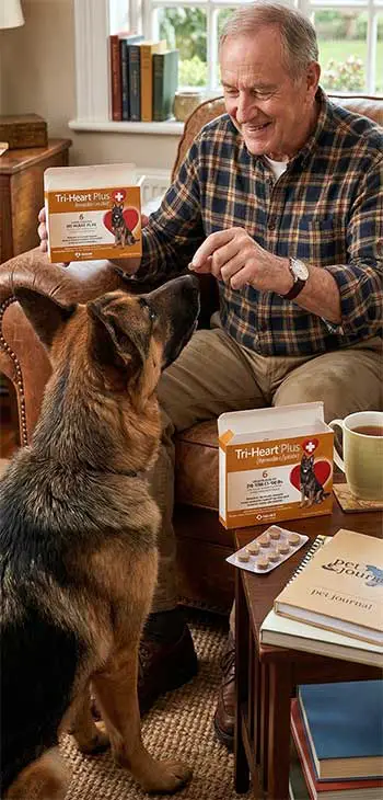 Tri-Heart Plus