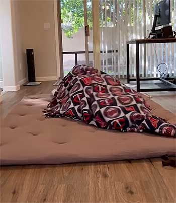 Zonli Futon Mattress