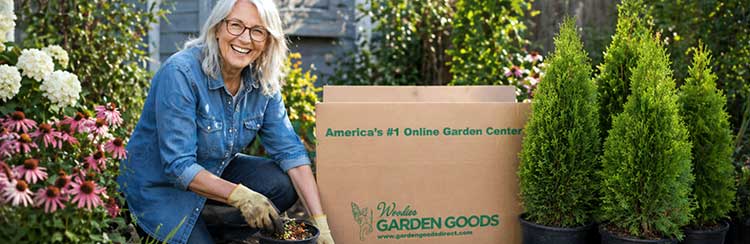 woodies garden goods