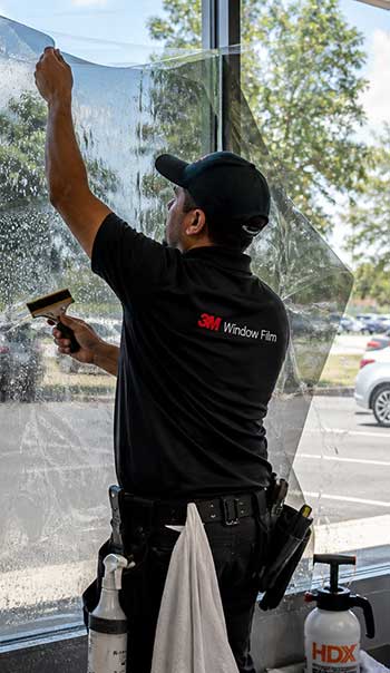 3M Window Film