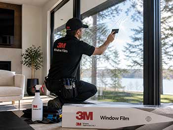 3M Window Film