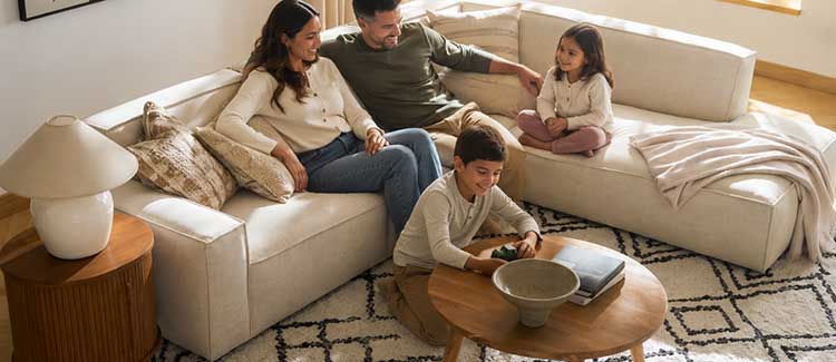 Castlery Sofa