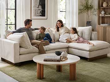 Castlery Sofa