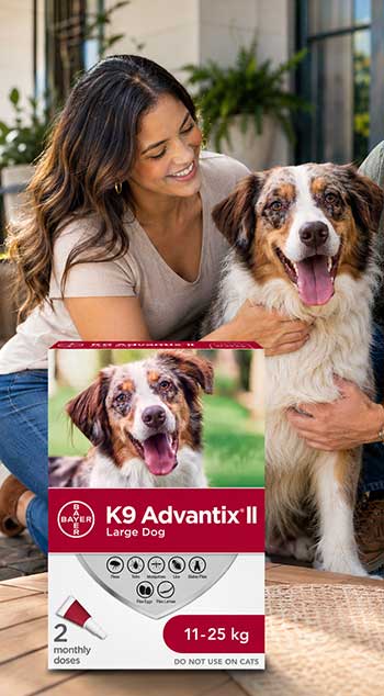 K9 Advantix II