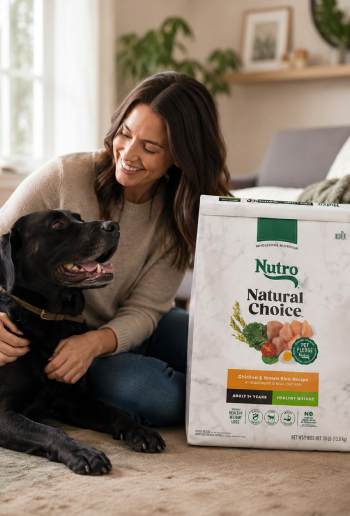 Nutro Natural Choice Dog Food