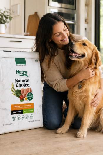 Nutro Natural Choice Dog Food