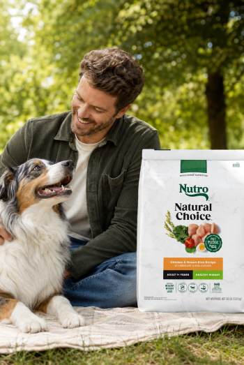 Nutro Natural Choice Dog Food