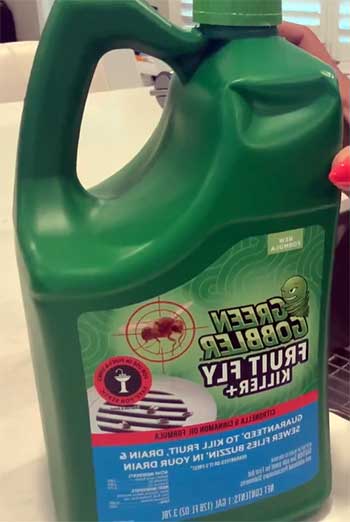 green gobbler fruit fly killer
