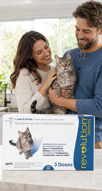Revolution for Cat