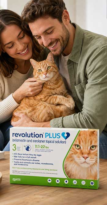 revolution plus for cats