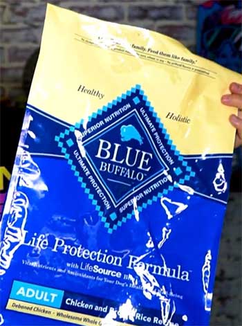 Blue Buffalo Dry Dog Food