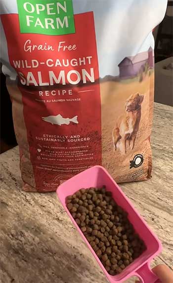 Open Farm dog food