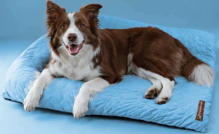 Pelsbarn Cooling Mat