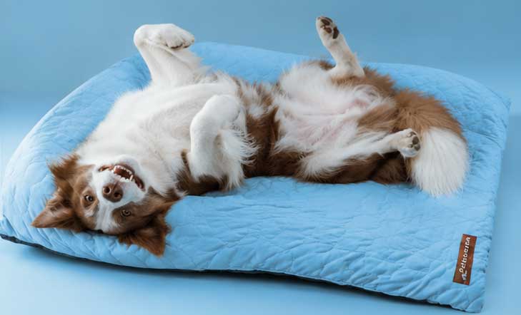 Pelsbarn Cooling Mat