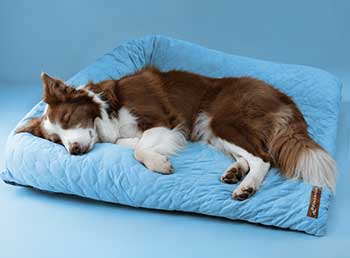 Pelsbarn Cooling Mat