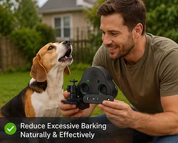 Stunick Anti Bark Device 