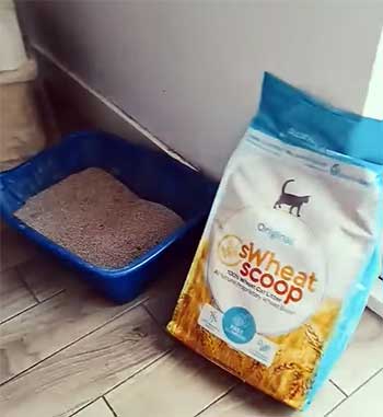 Swheat Scoop Litter