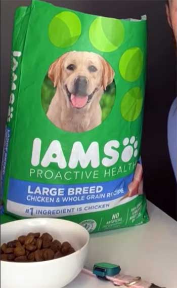 IAMS dog food