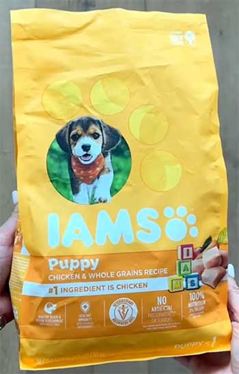 iams dog food