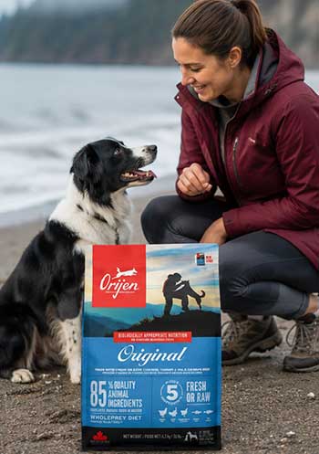 orijen dog food