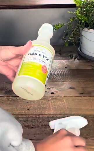 wondercide flea and tick spray