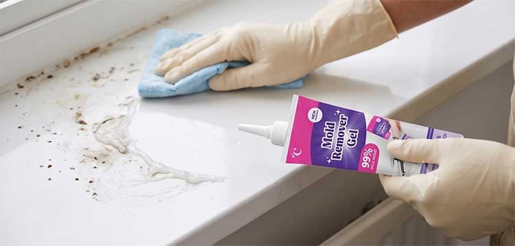 NuroClean Mold Remover Gel