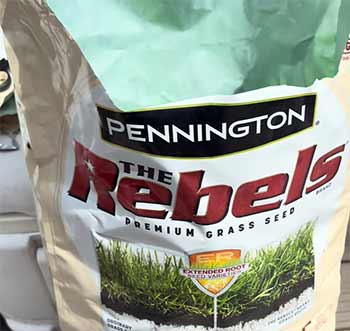 Pennington Rebels Tall Fescue