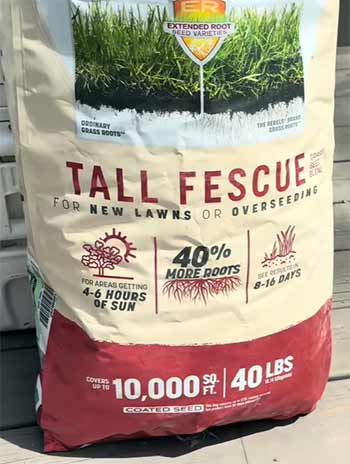 Pennington Rebels Tall Fescue