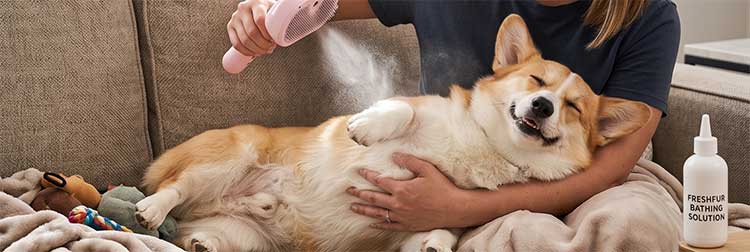 ReNu Dog Brush