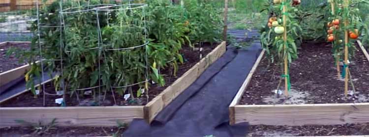Weed Barrier