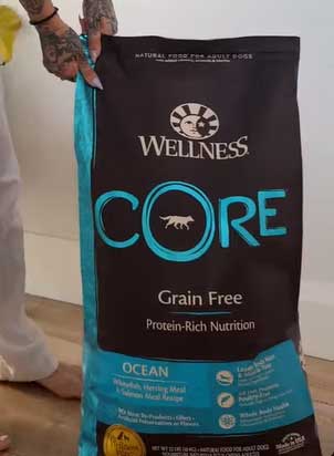 Wellness CORE Grain Free Dog Food