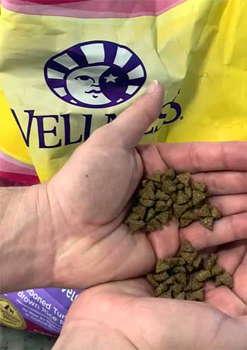 Wellness Complete Health Grain Free Small Breed Dry Dog Food